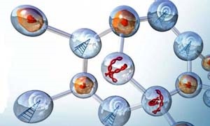Emerging Technologies across the globe